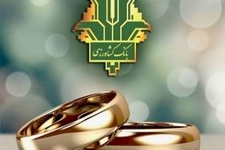 بانک کشاورزی 32 هزار میلیارد ریال تسهیلات قرض الحسنه ازدواج و فرزندآوری پرداخت کرد
