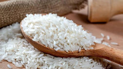واردات ۶۰۰ هزار تن برنج تا پایان سال ضروری است