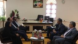 نشست مشترک مدیران ارشد آموزش و پرورش استان یزد با بیمه دانا
