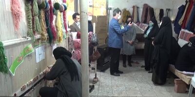 بیمه قالیبافان در کشور اجرا می شود