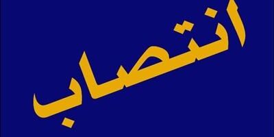 قائم ‌مقام رئیس کل بیمه مرکزی جمهوری اسلامی ایران منصوب شد