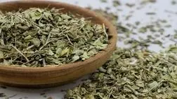 صادرات آویشن گرید دارویی تولید داخل به عمان و آلمان