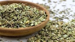 صادرات آویشن گرید دارویی تولید داخل به عمان و آلمان