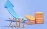 تحقق بیش از 120 درصد بودجه بیمه نوین
