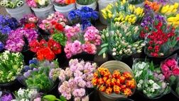 اینترنت به کسب و کار گل فروشان رونق داد