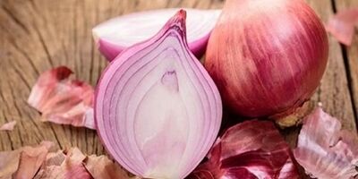قیمت پیاز اشک کشاورزان را درآورد