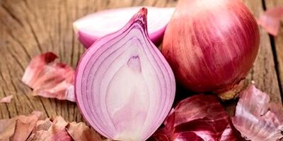 خرید تضمینی پیاز تا ۵ خرداد ادامه دارد