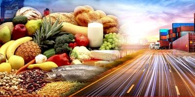 کاهش بیش از 9 دلاری قیمت گندم در بازارهای جهانی