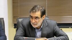 خرید سهام بانک‌ها به صلاح بیمه ایران نیست