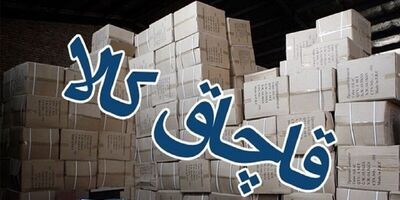 کشف ۱۲ میلیارد ریال لوازم خانگی قاچاق در بازار تهران
