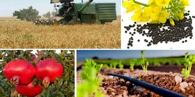 مزیت توسعه روابط تجاری ایران و ازبکستان در بخش کشاورزی چیست؟
