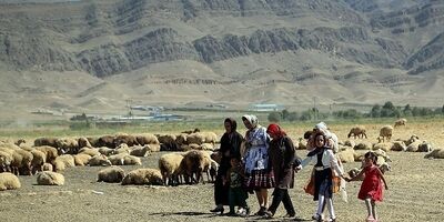 اطلاع رسانی در خصوص مزایای بیمه را در اولویت قرار می دهیم