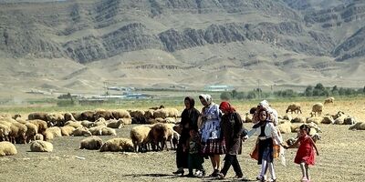 100 هزار نفر از شاغلان روستایی تا پایان سال بیمه می‌شوند