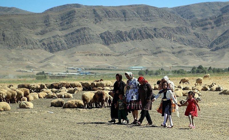 هشت میلیون راس  دام سبک عشایر تا پایان سال ۹۸ بیمه می‌شود