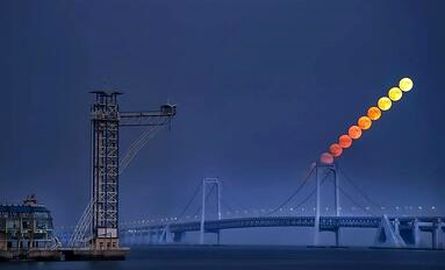 thm_18290204_459