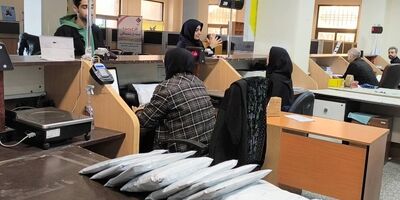 خدمت‌رسانی بی‌وقفه شرکت ملی پست
