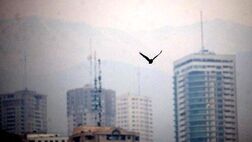 آثار هوای آلوده بر سلامت ۳۳ شهر ایران طی ۱۴۰۱ 