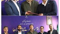دهیاری و دهیاران استان مرکزی برای دومین سال متوالی به بیمه سرمد پیوستند