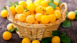خواص باورنکردنی این میوه طلایی