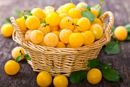خواص باورنکردنی این میوه طلایی