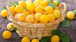 خواص باورنکردنی این میوه طلایی