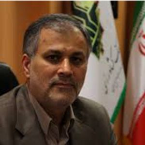 محسن صفدرى