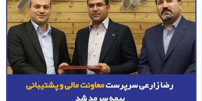 رضا زارعی سرپرست معاونت مالی و پشتیبانی بیمه سرمد شد
