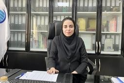شرکت های لیزینگ بدون توجه به تحول دیجیتال از بازار رقابت حذف می شوند