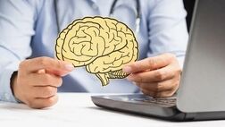 ۶ خوراکی برای زنده کردن مغز
