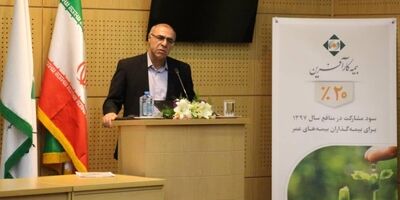کارآفرین مشکلی در پرداخت تعهدات خود ندارد/ زمان رکورد فروش بیمه‌نامه عمر بیشتر می‌شود