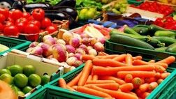 امسال تولیدات باغبانی کشور به ۲۵ میلیون و ۷۰۰ هزار تن رسید
