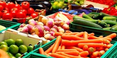 امسال تولیدات باغبانی کشور به ۲۵ میلیون و ۷۰۰ هزار تن رسید
