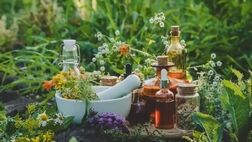 ۳ گیاه آرام‌بخشِ معده
