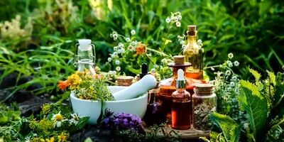 آیا چای واقعا خستگی را از بین می‌برد؟ 