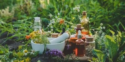 ۳ گیاه آرام‌بخشِ معده
