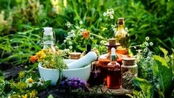 ۳ گیاه آرام‌بخشِ معده
