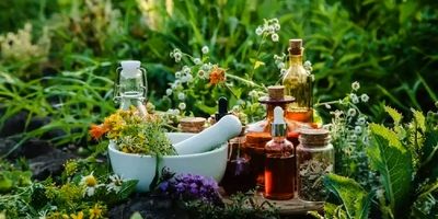 آیا چای واقعا خستگی را از بین می‌برد؟ 