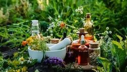 ۳ گیاه آرام‌بخشِ معده
