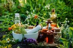 ۳ گیاه آرام‌بخشِ معده
