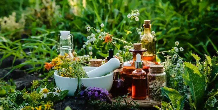 ۳ گیاه آرامبخشِ معده