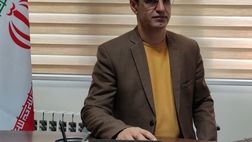 مرغ مورد نیاز کشور تامین شده است