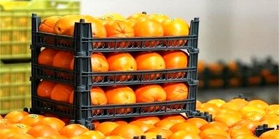 ورود پلیس فتا به ادعای تبانی در لیگ برتر