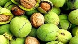 یک سوم باغات گردو در شهرستان  دماوند بیمه شد