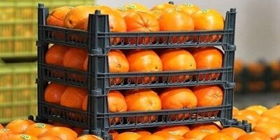 قیمت میوه شب عید  ۱۰ درصد زیر نرخ روز بازار تعیین می‌شود