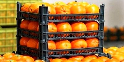 قیمت میوه شب عید  ۱۰ درصد زیر نرخ روز بازار تعیین می‌شود