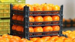 قیمت میوه شب عید  ۱۰ درصد زیر نرخ روز بازار تعیین می‌شود
