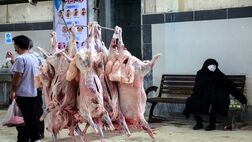 متوسط قیمت فعلی هر کیلو دام سبک  ۴۸ هزار تومان است