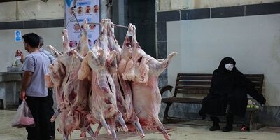 متوسط قیمت فعلی هر کیلو دام سبک  ۴۸ هزار تومان است