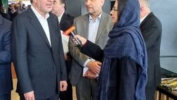 شرکت های بیمه ای بدون ارزیابی ریسک و با شکستن قیمت ها به رقابت می پردازند + فیلم