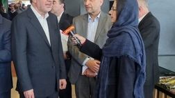 شرکت های بیمه ای بدون ارزیابی ریسک و با شکستن قیمت ها به رقابت می پردازند + فیلم